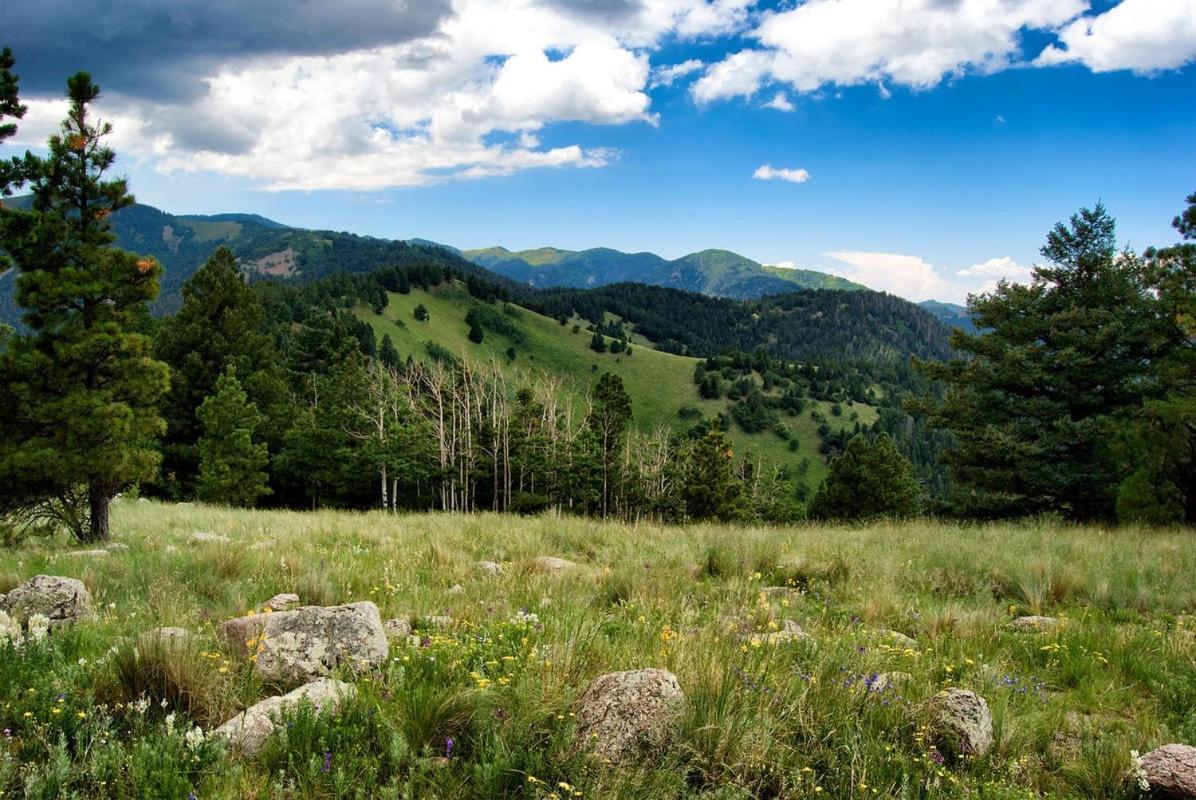 Windchaser, 1 Bedroom, Wood Burning Stove, Midtown, Sleeps 3 Ruidoso Dış mekan fotoğraf